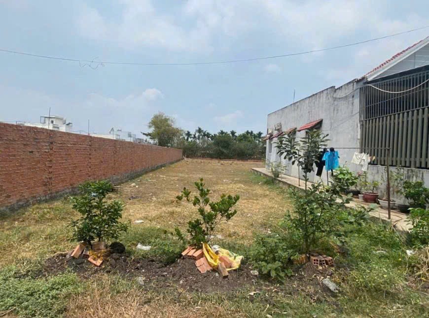 Bán Đất Nền Vị Trí Vàng Bà Điểm, Hóc Môn - 3000m2, Phù Hợp Đầu Tư
