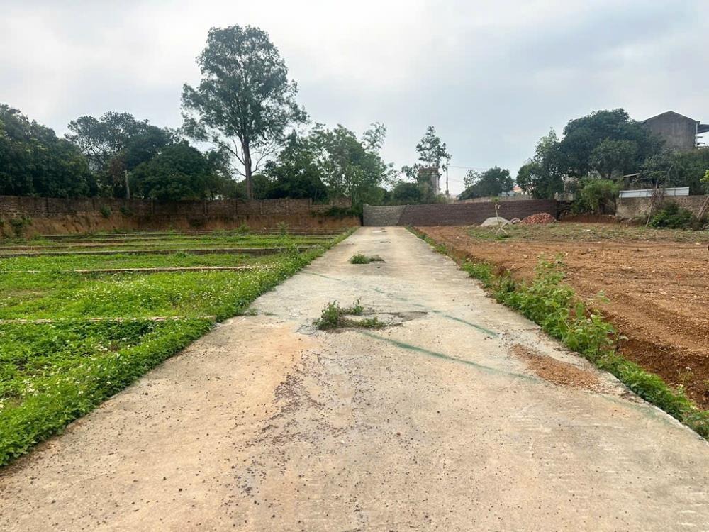 Đất nền Thanh Sơn, Minh Phú 101m2 - Vị trí đẹp, ô tô vào tận nơi