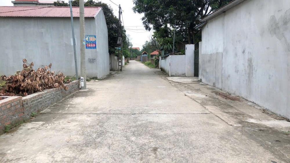 Đất nền Thanh Sơn, Minh Phú 101m2 - Vị trí đẹp, ô tô vào tận nơi