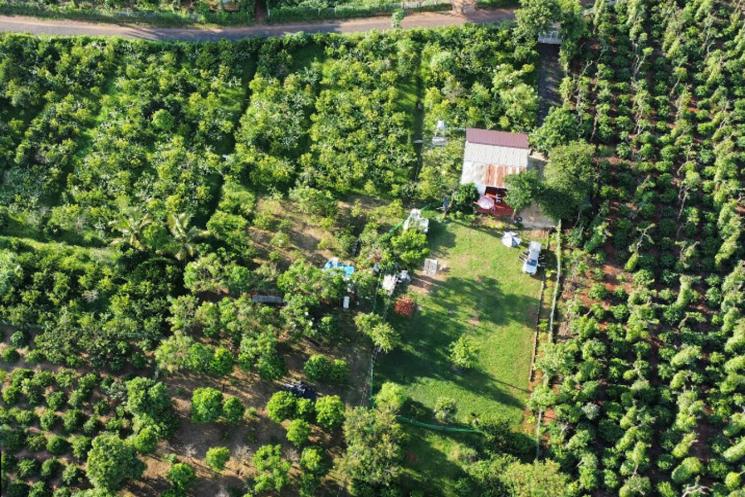 Đất vườn MT 1Ha, có suối – Xã Ea Nuôl Đắk Lắk