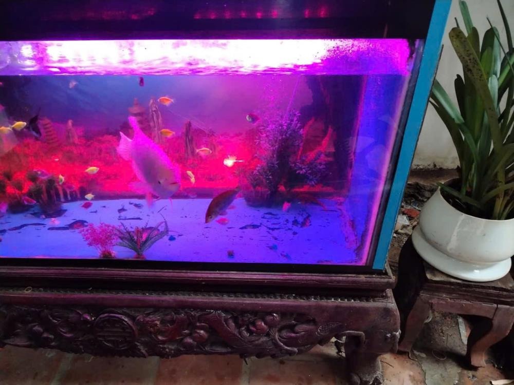 Bán Đất 68m2 Tặng Nhà 3 Tầng Mặt Tiền 5.2m Tây Mỗ - 8.6 Tỷ, Ô Tô Vào Nhà