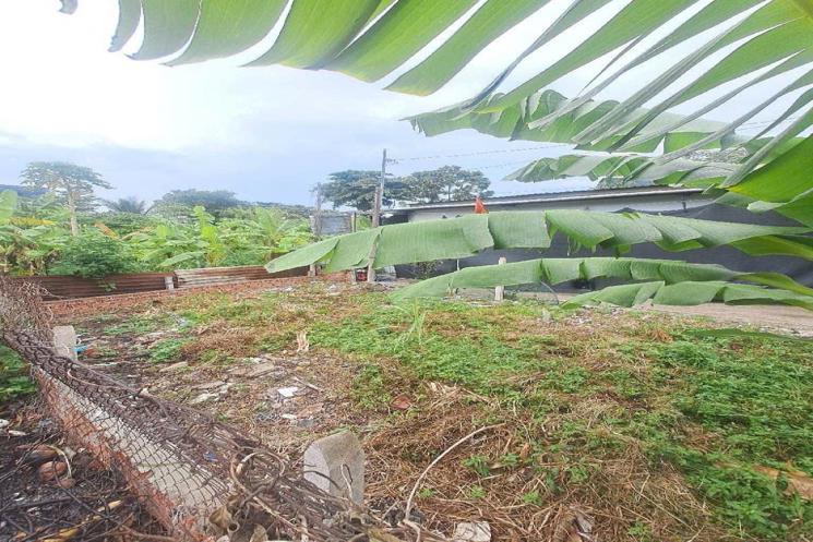Đất 2 MH 137m2, tách thửa OK – An Phú Đông 9 Q12