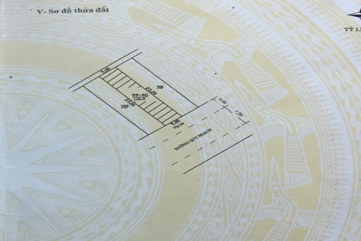 Bán tòa căn hộ 7 tầng đường Lê Trung Đình – thu nhập khủng