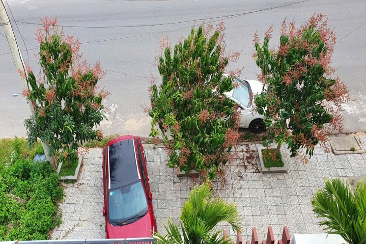 ✨ BÁN BIỆT THỰ 3 TẦNG SIÊU ĐẸP – ĐƯỜNG XUÂN QUỲNH, NAM VIỆT Á, NGŨ HÀNH SƠN