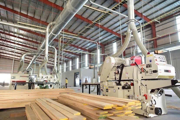 CẦN BÁN XƯỞNG TẠI KCN NHỊ XUÂN - XÃ XUÂN THỚI SƠN, HÓC MÔN
