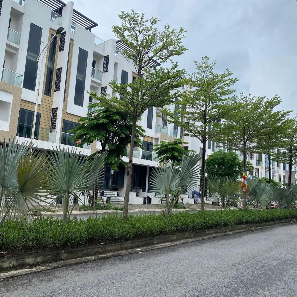 Bán Gấp LK Khu B1.1 Thanh Hà: Giá Từ 15 Tỷ - Vị Trí Đẹp, Thiết Kế Hiện Đại