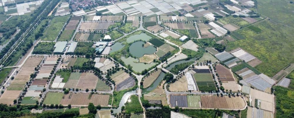 Đất Nền Cienco5 Mê Linh: Đầu Tư Sinh Lời, Vị Trí Vàng