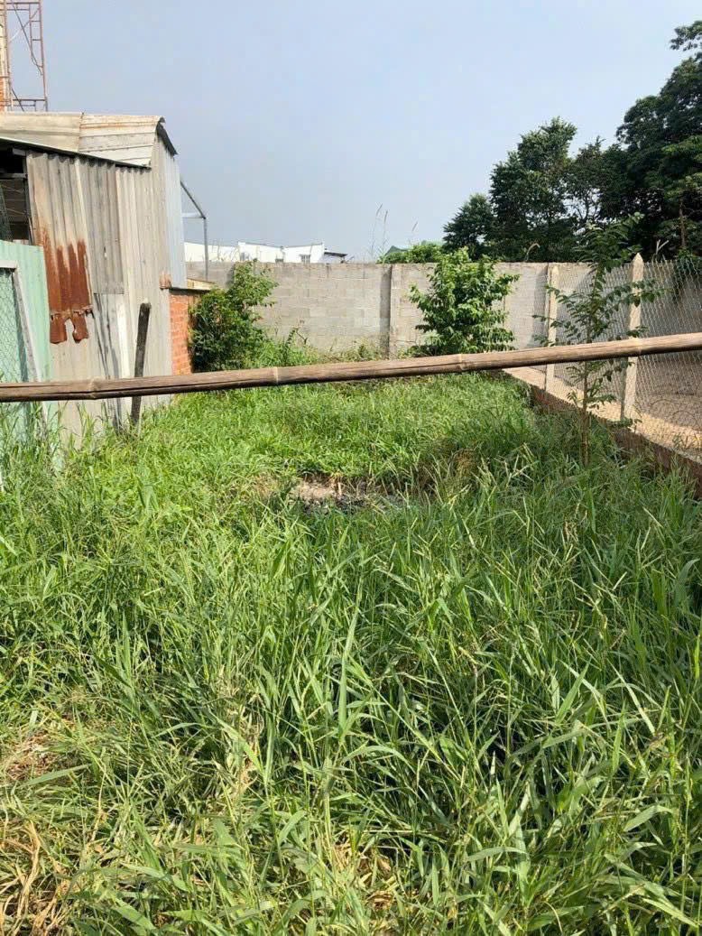 80m2 Đất Tân Thạnh Đông, Củ Chi - Vị Trí Đẹp, Giá Tốt