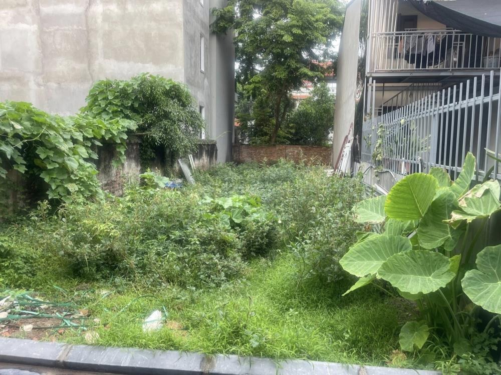 Bán Đất Mai Lâm, Hà Nội: 126m2, Mặt Tiền 6m, Ngõ Ô Tô, Giá Tốt