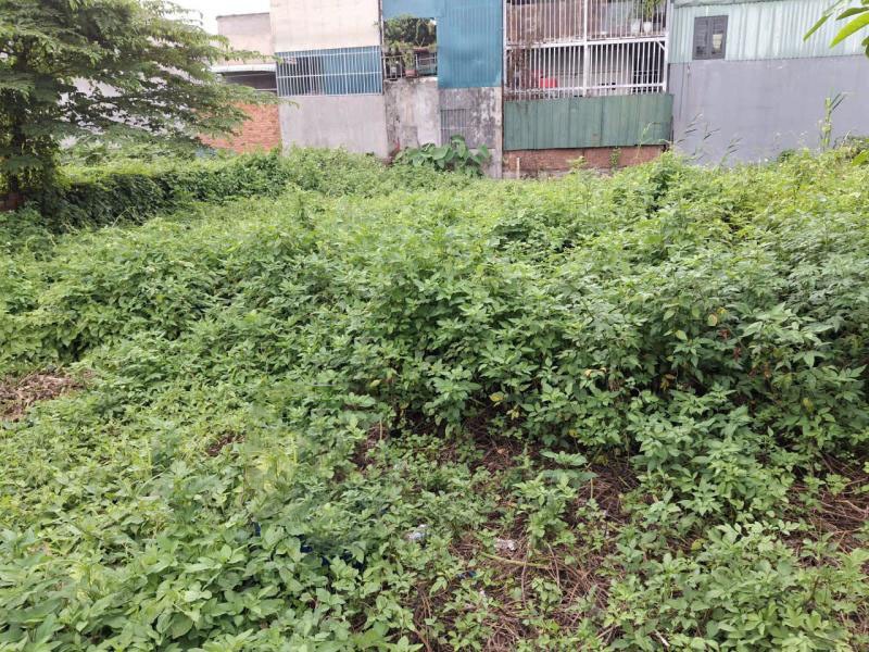🔥Đất HXH vuông vức 92m2, Tô Ngọc Vân, Quận 12 - Giá Tốt