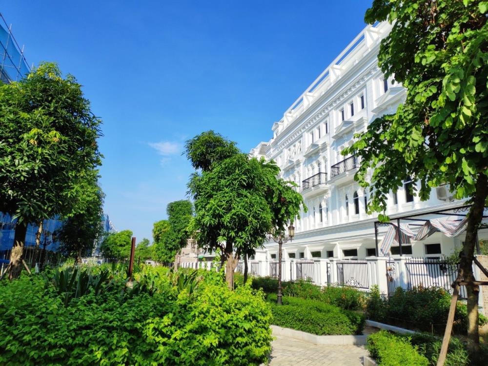 Cập Nhật Giá Căn Chuyển Nhượng Louis City Đại Mỗ Tháng 8/2025 - Ưu Đãi Đặc Biệt