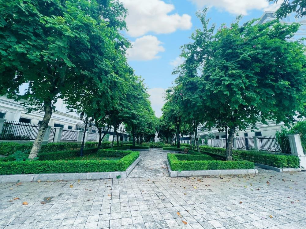 Cập Nhật Giá Căn Chuyển Nhượng Louis City Đại Mỗ Tháng 8/2025 - Ưu Đãi Đặc Biệt