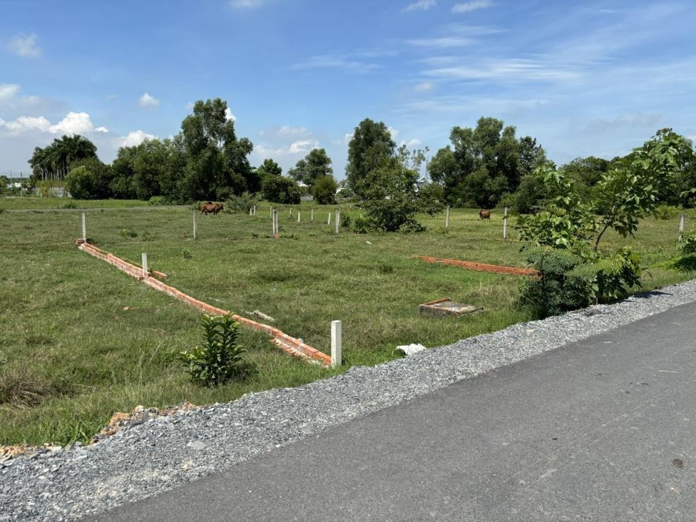 Bán Gấp Lô Đất 150m2 Bà Điểm, Hóc Môn - Giá Tốt, Pháp Lý Sạch