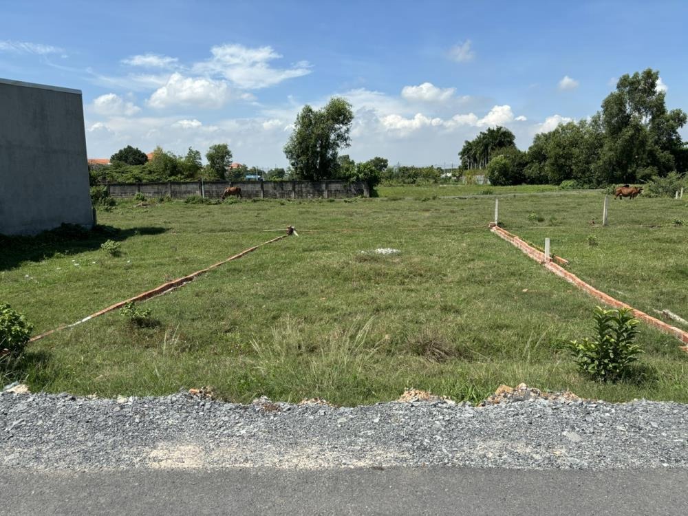 Bán Gấp Lô Đất 150m2 Bà Điểm, Hóc Môn - Giá Tốt, Pháp Lý Sạch