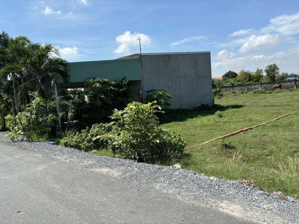 Bán Gấp Lô Đất 150m2 Bà Điểm, Hóc Môn - Giá Tốt, Pháp Lý Sạch