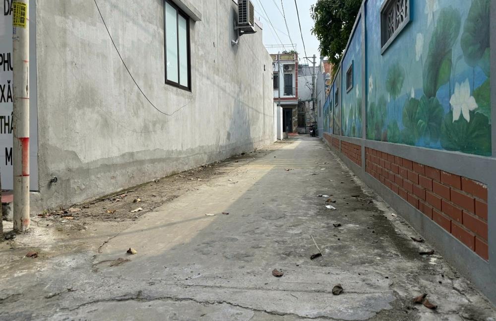 Bán Gấp Đất Tổ 5 Quang Minh, Mê Linh - Vị Trí Đẹp, Pháp Lý Sổ Đỏ
