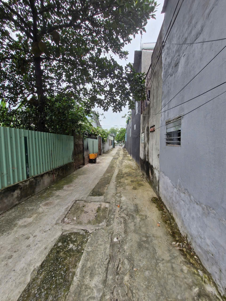 Bán Đất Nguyễn Thị Sáu, Thới Tam Thôn - 68m2, Giá Tốt, SHR