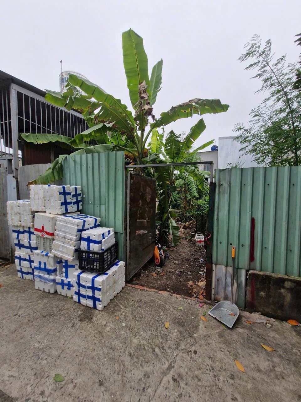 Bán Đất Nguyễn Thị Sáu, Thới Tam Thôn - 68m2, Giá Tốt, SHR