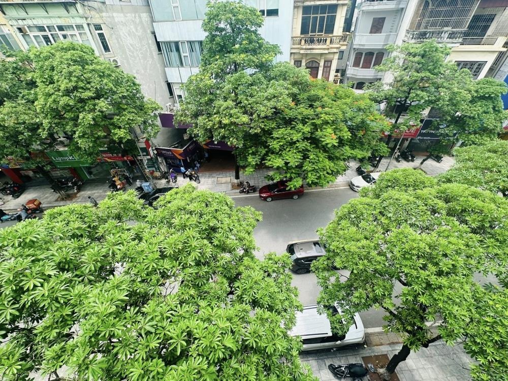 Bán Nhà Mặt Phố Quận Hai Bà Trưng 65m2 - 5 Tầng, Vị Trí Đắc Địa - Giá 36.5 Tỷ