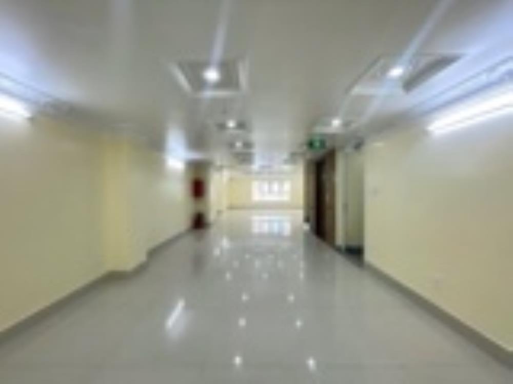 Cho Thuê Mặt Bằng Kinh Doanh Bạch Đằng, Tân Bình - Vị Trí Đắc Địa