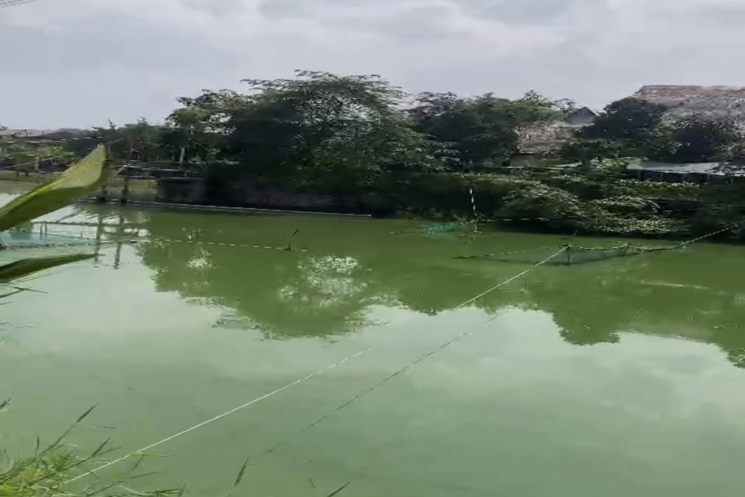 Bán Đất Bắc Sơn Trảng Bom Kinh Doanh Ăn Uống Hồ Câu Cá Gần Giáo Xứ Bùi Đệ
