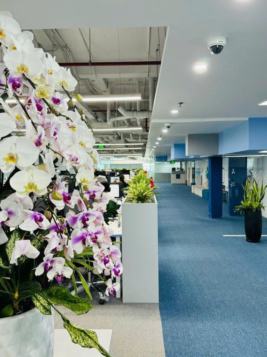Tòa Văn Phòng 7 Tầng Phố Thái Hà - Phân Lô VIP - Đầu Tư Sinh Lời