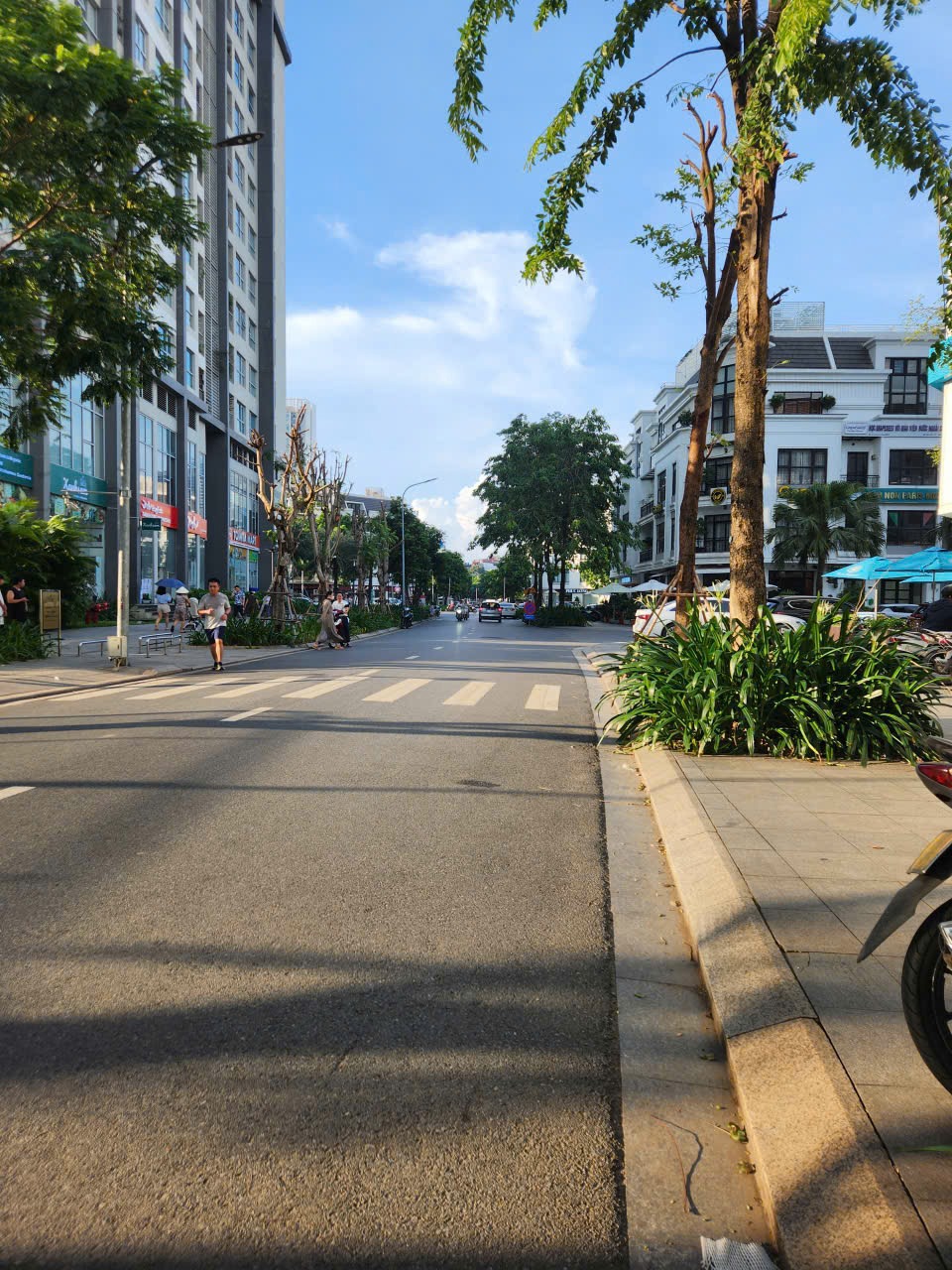 Bán đất KĐT Dịch Vọng - Lô góc 250m2, 2 mặt đường, gần công viên Cầu Giấy