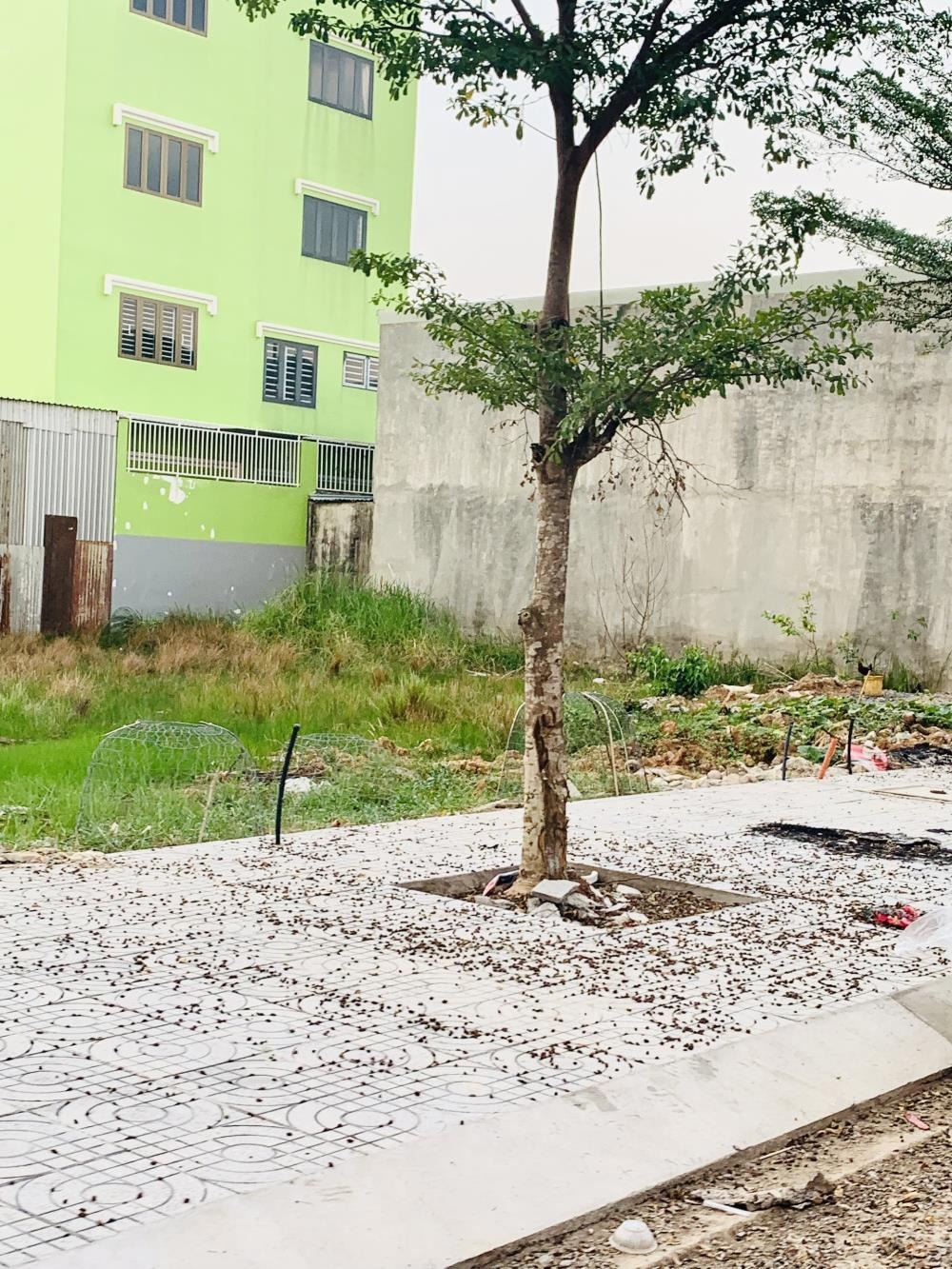 Đất Nền Bình Chánh - Đầu Tư Sinh Lợi Khu Dân Cư Trần Văn Giàu