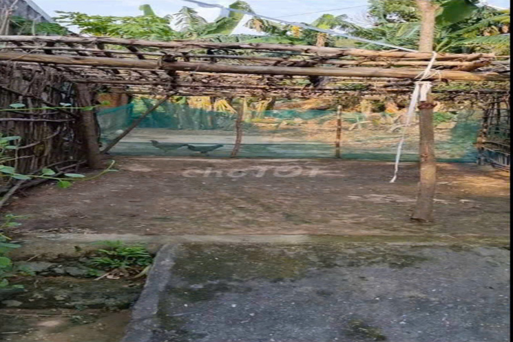 BÁN ĐẤT SAU LƯNG UBND HÒA SƠN – HÒA VANG– GIÁ RẺ, DIỆN TÍCH LỚN