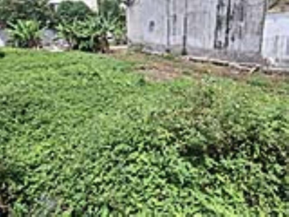 ⭐️ Đất HXT 245m2, Đường Thông - Vườn Lài, Quận 12 - Vị trí đắc địa, tiềm năng lớn