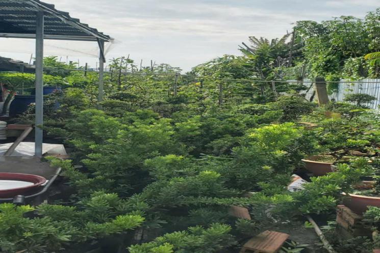 Đất Vườn HXT 722m2, Nở hậu – Xuân Thới Thượng 2 HM