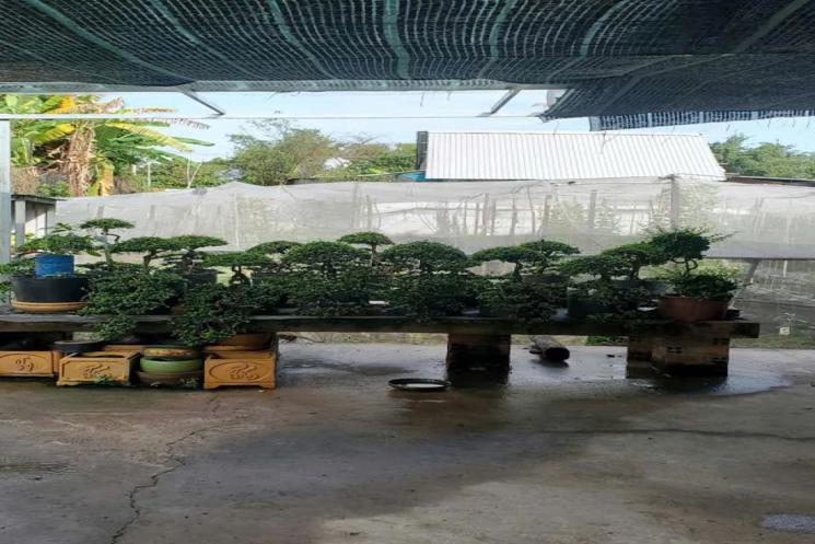 Đất Vườn HXT 722m2, Nở hậu – Xuân Thới Thượng 2 HM