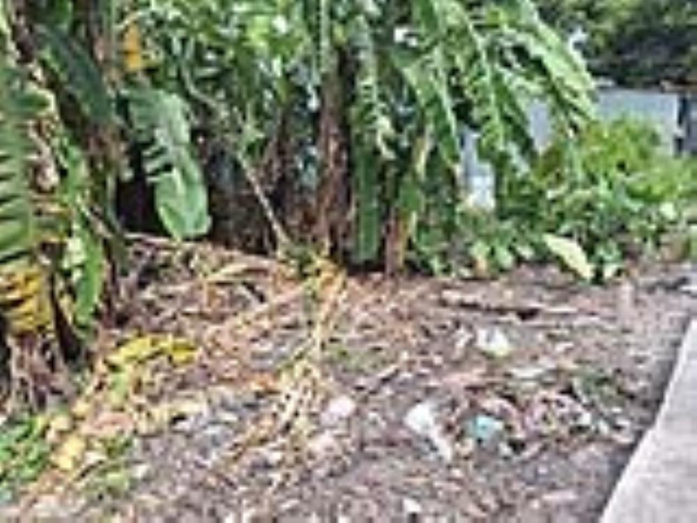 Đất Nền Giá Tốt Quận Hóc Môn - 137m2, Nở Hậu, Pháp Lý Rõ - Đầu Tư Sinh Lời