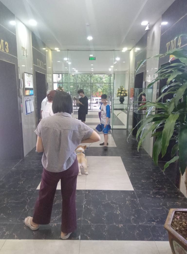 Căn hộ 2PN, 72m² CT12 Văn Phú - Nội thất sang trọng - Giá tốt nhất