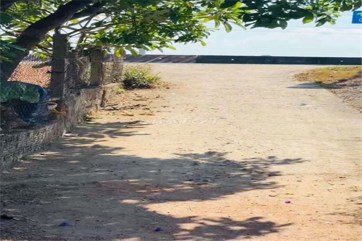 ĐẤT ĐẸP - GIÁ RẺ - Hạ Giá Bán Nhanh Lô Đất Cát Hanh, Phù Cát Sát QL 1A