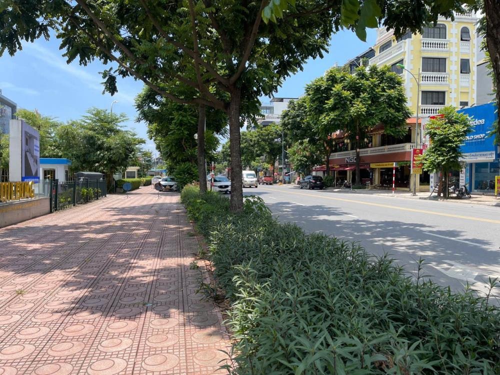 Mặt Phố Thái Hà - Vị Trí Vàng Đống Đa - 6 Tầng - Kinh Doanh/Văn Phòng