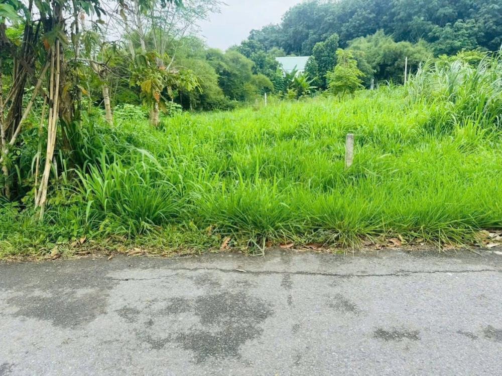 Đất thổ cư mặt tiền đường nhựa Củ Chi - Giá 1.2 tỷ