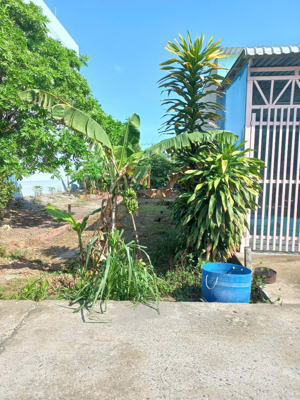 Đất Phước Thạnh Củ Chi 169m2 - Vị trí đẹp, đầu tư sinh lời