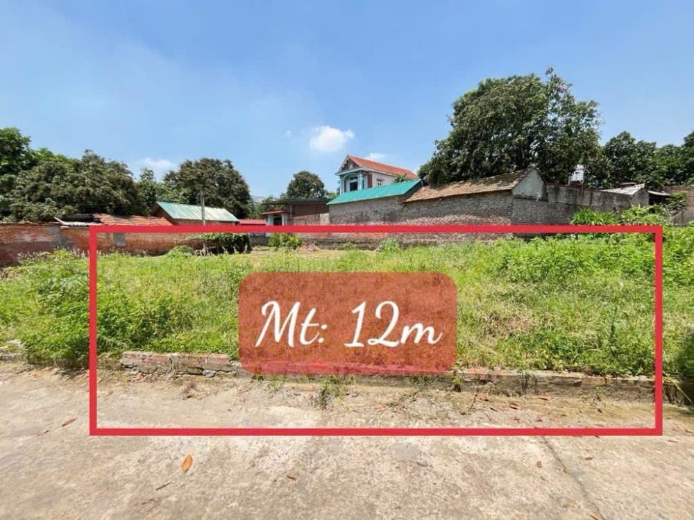 Bán Đất Thắng Trí, Minh Trí Giá Tốt - Đầu Tư Sinh Lời