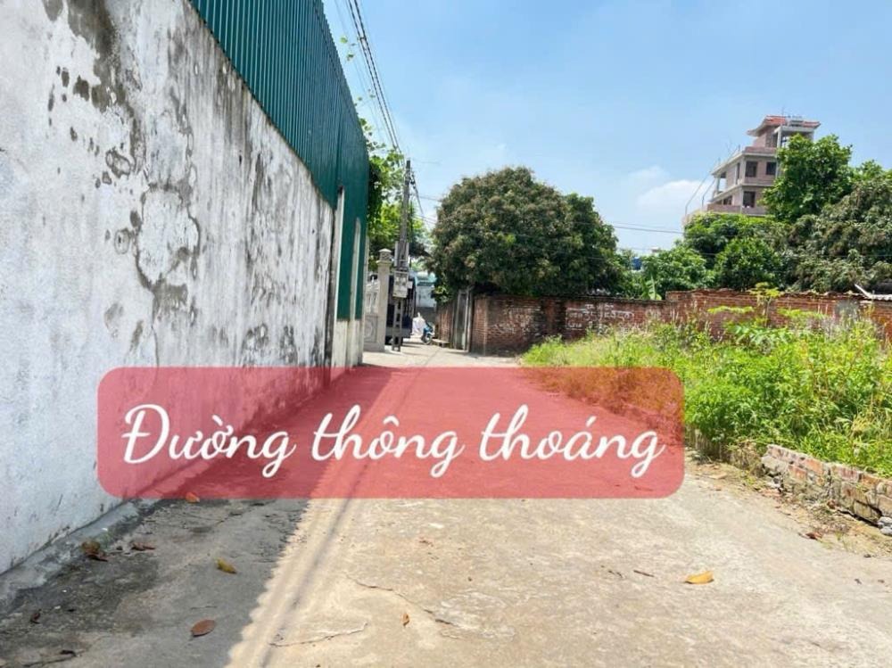 Bán Đất Thắng Trí, Minh Trí Giá Tốt - Đầu Tư Sinh Lời