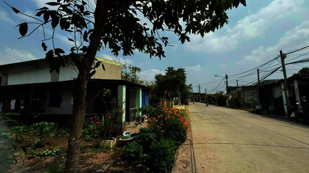 Bán Lỗ Nhanh Lô Đất 165m2 Thái Mỹ, Củ Chi - Vị Trí Đẹp, Giá Tốt