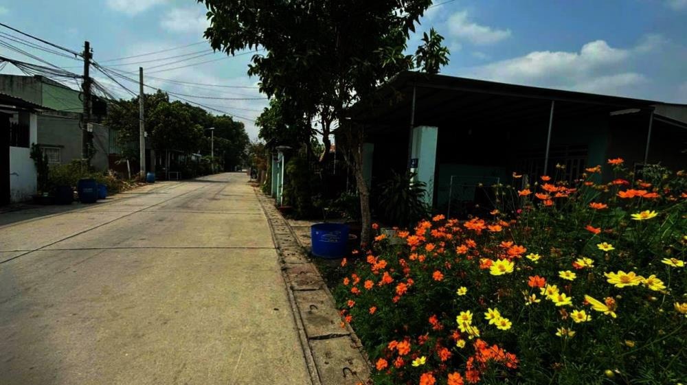 Bán Lỗ Nhanh Lô Đất 165m2 Thái Mỹ, Củ Chi - Vị Trí Đẹp, Giá Tốt