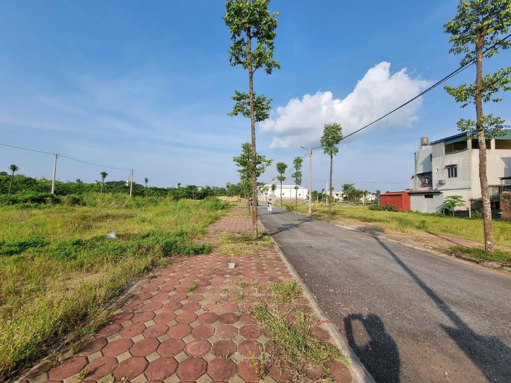 Mê Linh Phân Lô KĐT Tam Đồng - Vị Trí Trung Tâm, Giá Tốt Nhất