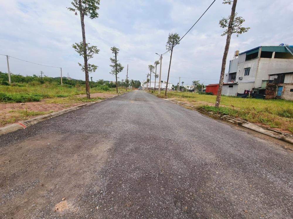 Mê Linh Phân Lô KĐT Tam Đồng - Vị Trí Trung Tâm, Giá Tốt Nhất