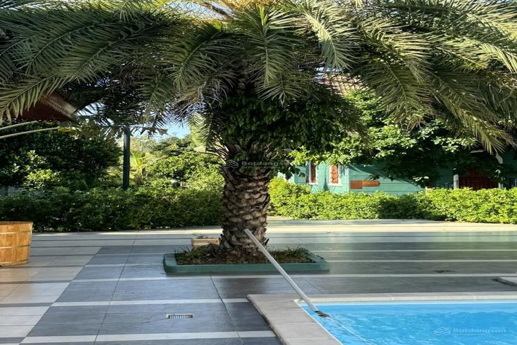 Bán trang trại đẹp ở Xã Cam Hải Tây, 20 tỷ, 2160 m2