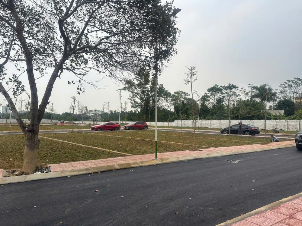 Đất La Gián - Cổ Đông 137m2 - Giá 27tr/m2 - Đầu Tư Sinh Lời