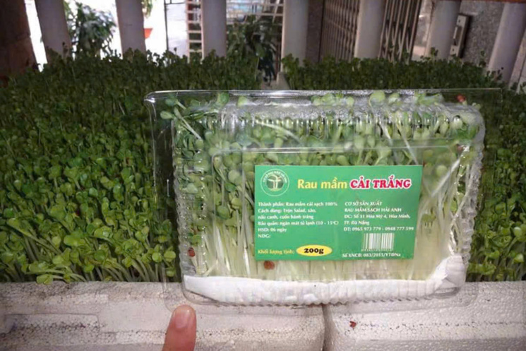 Cần sang lại mô hình trồng rau mầm hữu cơ tại Hòa Khánh, Đà Nẵng