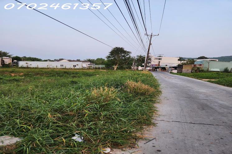 Bán Gấp Đất Mặt Tiền Chùa Ông, Dương đông – 5.400m² , Sổ riêng