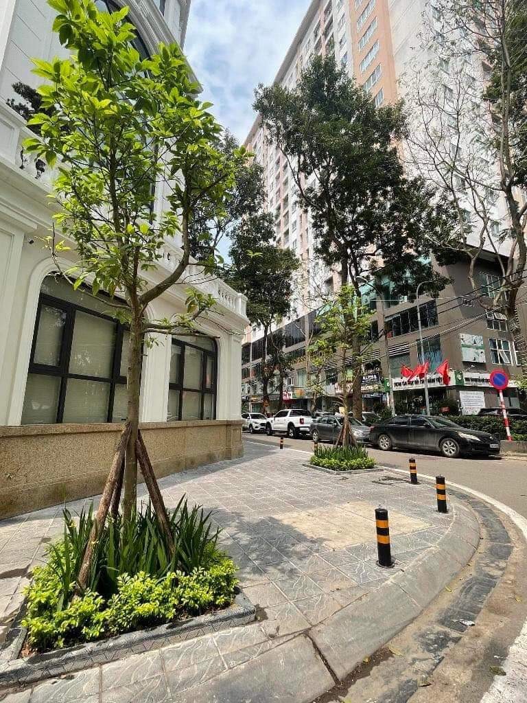 Bán Nhà Khu Lực Lượng Nguyễn Tuân - Thanh Xuân - 75m² - 5 Tầng - Thang Máy - 40 Tỷ