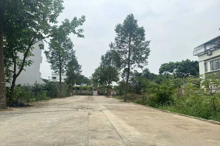 Đất nền Thị trấn Quất Lâm, Huyện Giao Thủy 2 tỷ – 100m² gần trục chính ra biển, tiện mở homestay –
